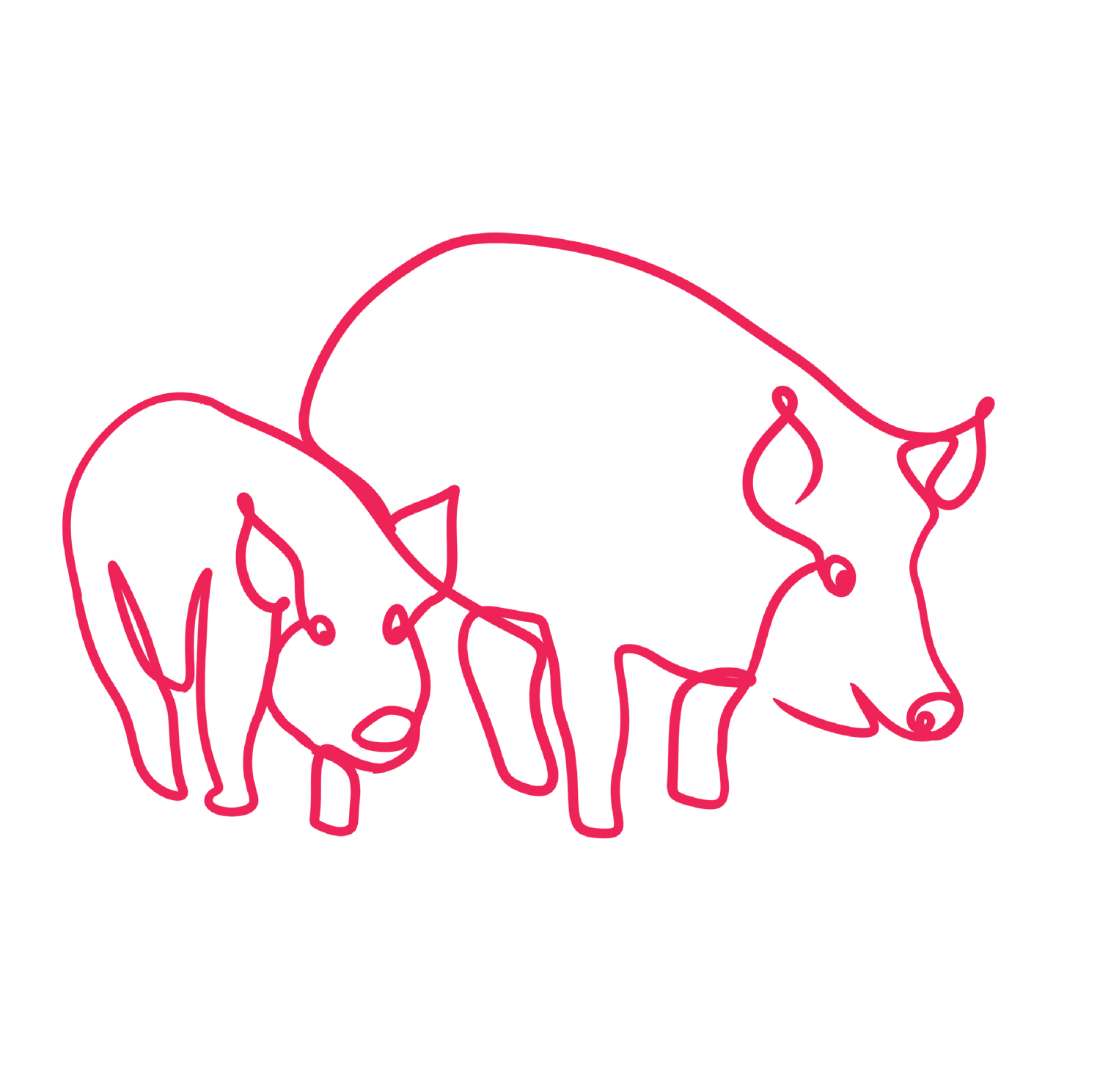 Two pink line drawings of pigs on a white background